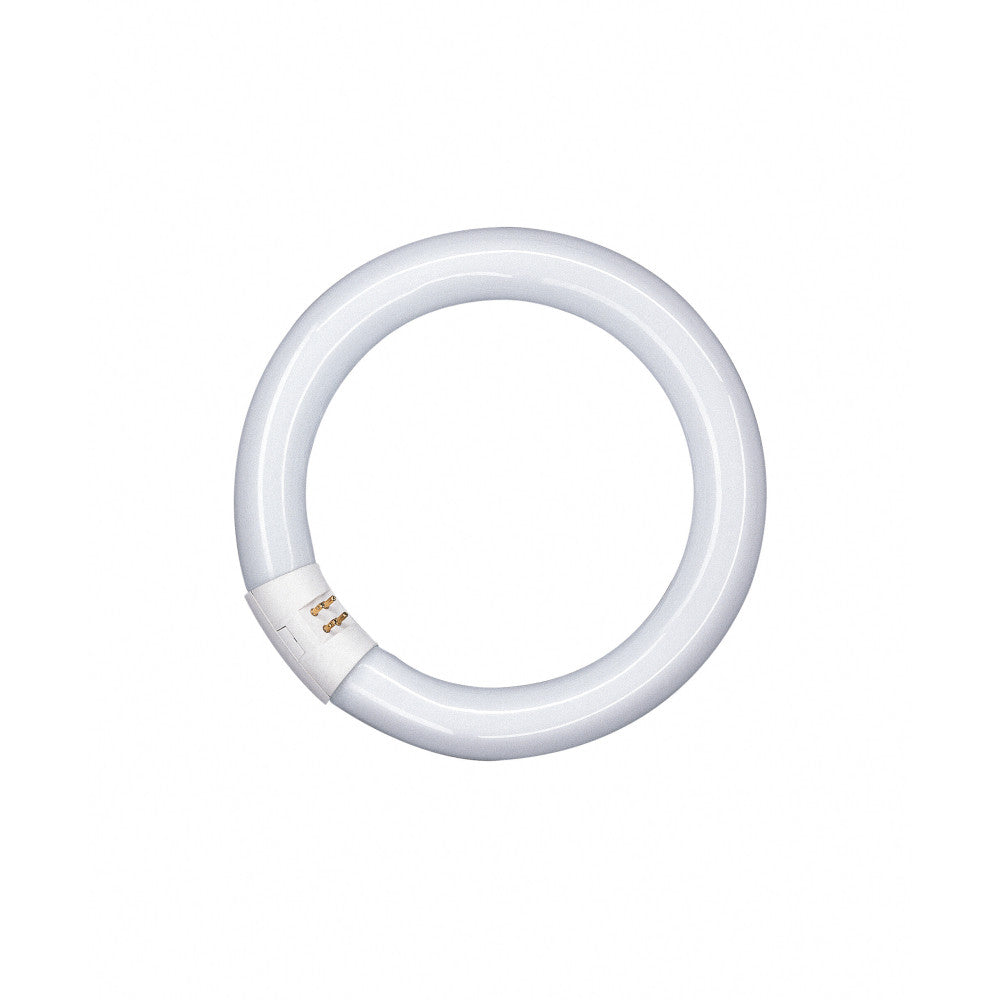 Tubo Fluorescente Tradicional Ledvance/Osram T8 G10q 22W 1150Lm 6500K Regulável