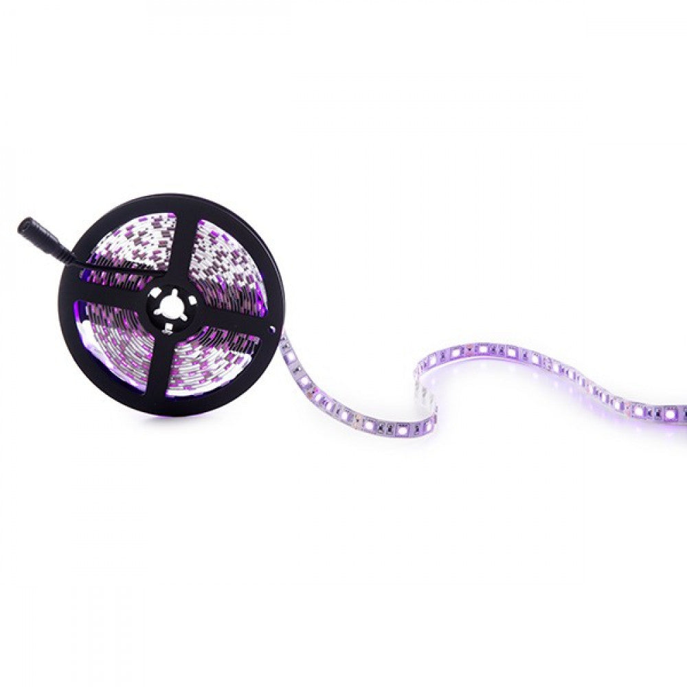 Faixa de 300 LEDs 60W 2.100Lm SMD5050 12VDC IP20 Rosa x5M 40.000H [CA-5050-300-IP25-PI]