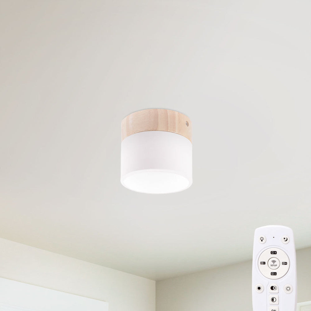 Plafon LED 9W 852Lm Controle Remoto (Intensidade-CCT) 10.000H [HO-CCT-DL9W]