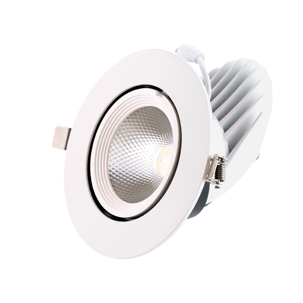 Foco Downlight LED 24W 3600Lm 4000ºK Circular Ajustável 40.000H [HO-COB-C-OR-24W-W]