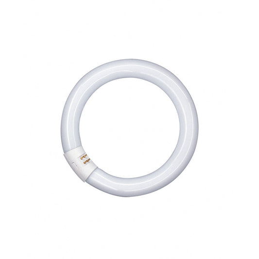 Tubo Fluorescente Tradicional Ledvance/Osram T8 G10q 22W 1150Lm 6500K Regulável